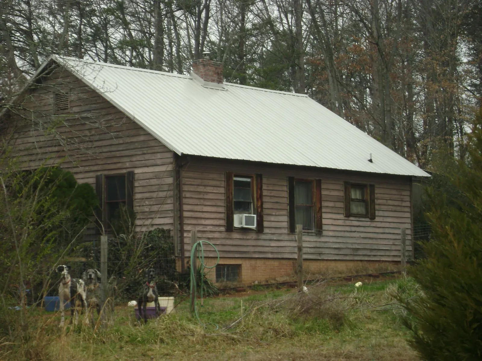 White metal roof on an old wood sided farmhouse, from a Asphalt Shingle Roof Repair job in East Waterboro
